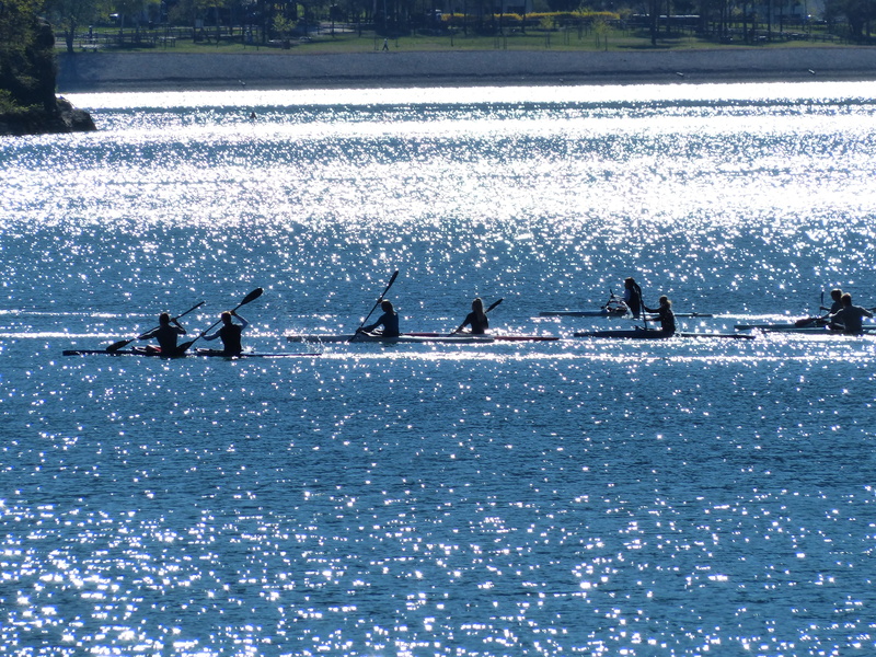 sparkle, shine, sea, motion, 4K, leisure activity, lake, waterfront, back light, canoe trip, canoe tour, lifestyles, group, aquatic sport, canoes, nature