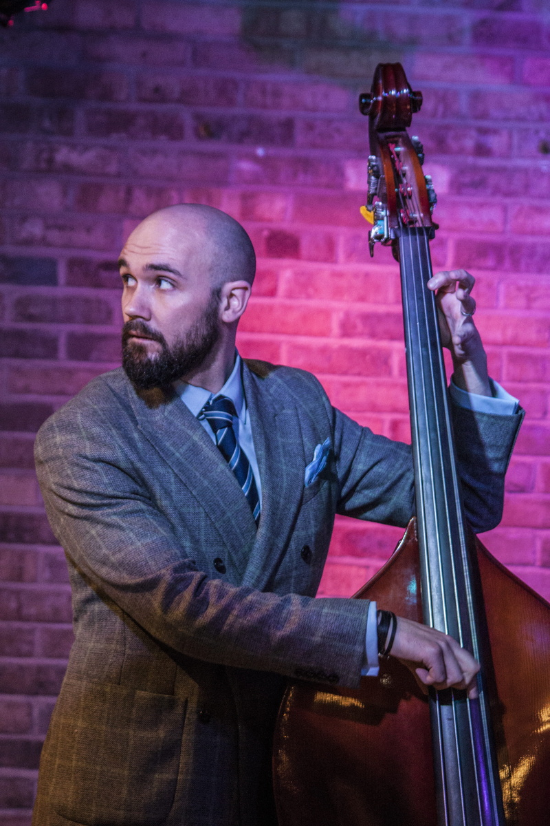 viola, artist, real people, holding, musician, double bass, music, arts culture and entertainment, musical equipment, skill, standing, nightlife, waist up