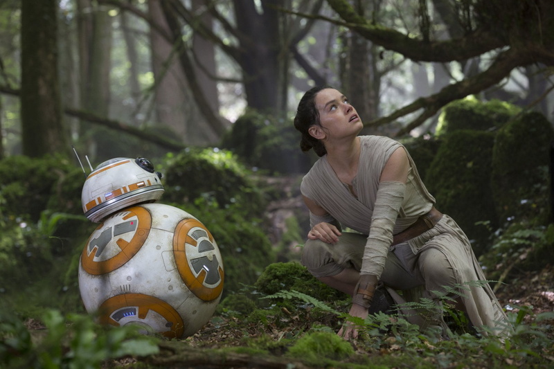 tree, real people, Daisy Ridley, hairstyle, Star Wars Episode VII: The Force Awakens, casual clothing, focus on foreground, young adult, one person, bb