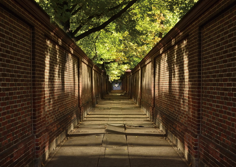 direction, wall - building feature, 2K, brick, building exterior, the way forward, wall, footpath, tree, brick wall, residential district, alley, diminishing perspective