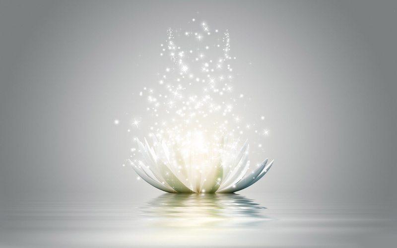 light, flower, artwork, 1080P, plant, glitters