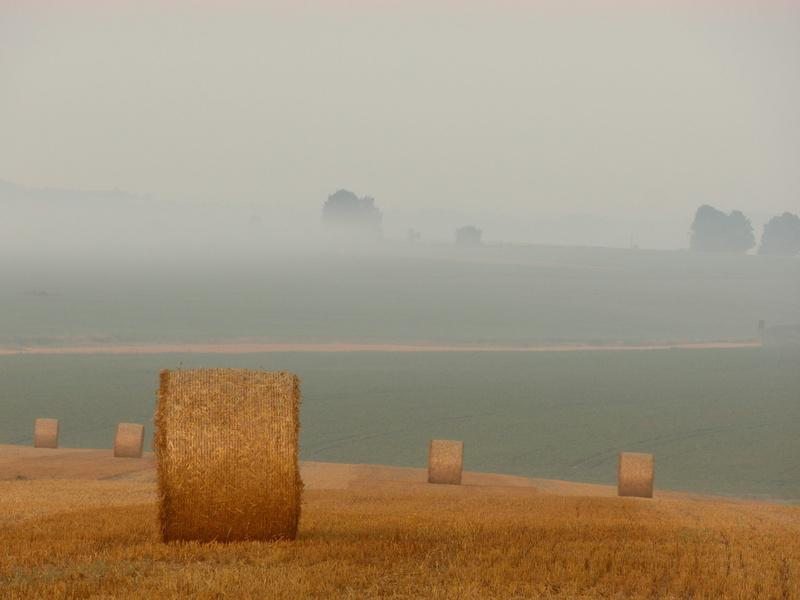 non-Urban Scene, straw, tranquil scene, scenics - nature, rural Scene, day, photography, plant, sky, industry, environment, nature, harvesting, summer