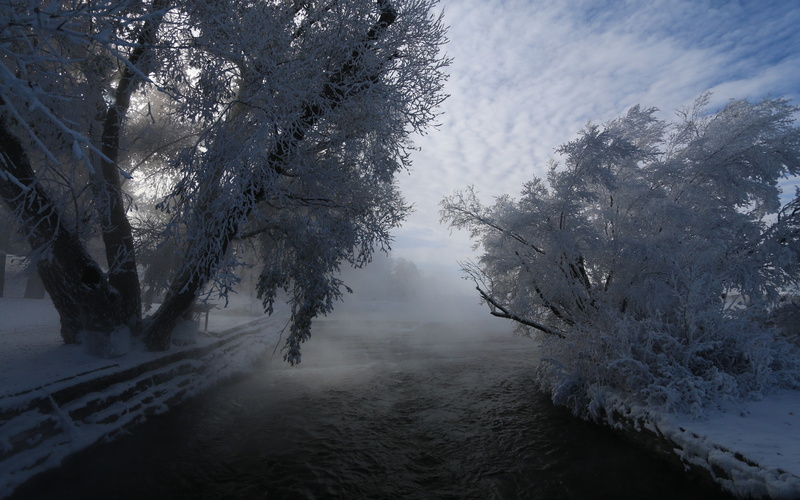 shrubs, winter, nature, 1080P, cold, clouds, river, frost, trees, snow, mist, landscape