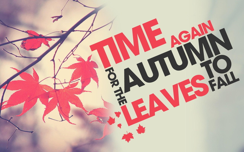 letter, leaves, autumn, red, 1080P, words, maple, unique