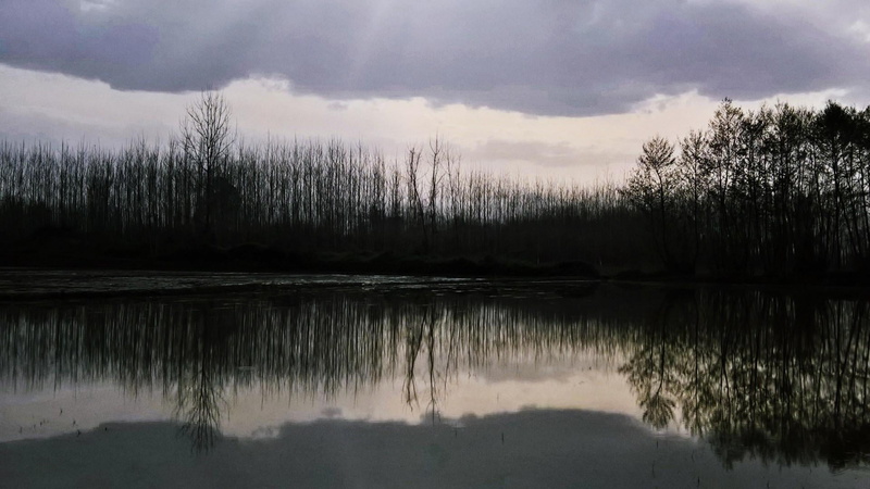 sky, iran nature, no people, 1080P, woodland, reflected, reflection, standing water, beauty in nature, tranquility, forest, reflection lake, tranquil scene