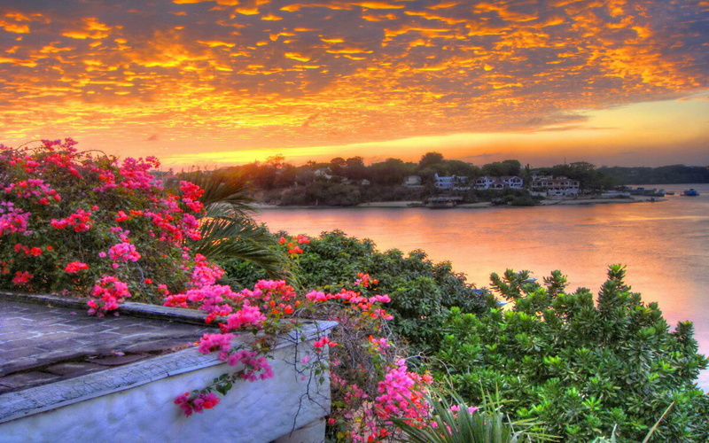 hd, 1080P, orange, flowers, beautiful, clouds, countryside, pink, sky, lake, green, trees, summer, sunrise