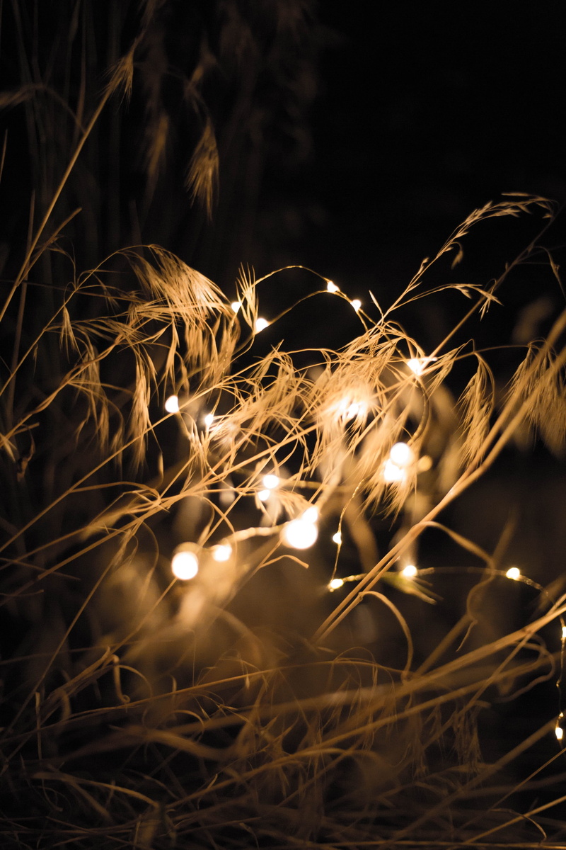 fire, unique, glowing, no people, composite, photoshop, romantic, burning, stringlights, wow, fire - natural phenomenon, illuminated, selective focus, lights