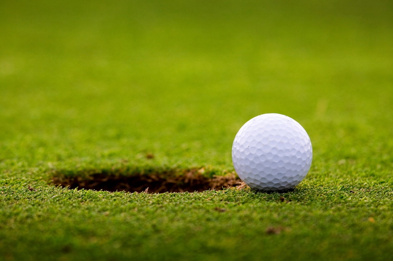 sport, leisure activity, green color, plant, golf, grass, close-up, relaxation, close to, golf beautiful  desktop, recreational pursuit, ball, putting green