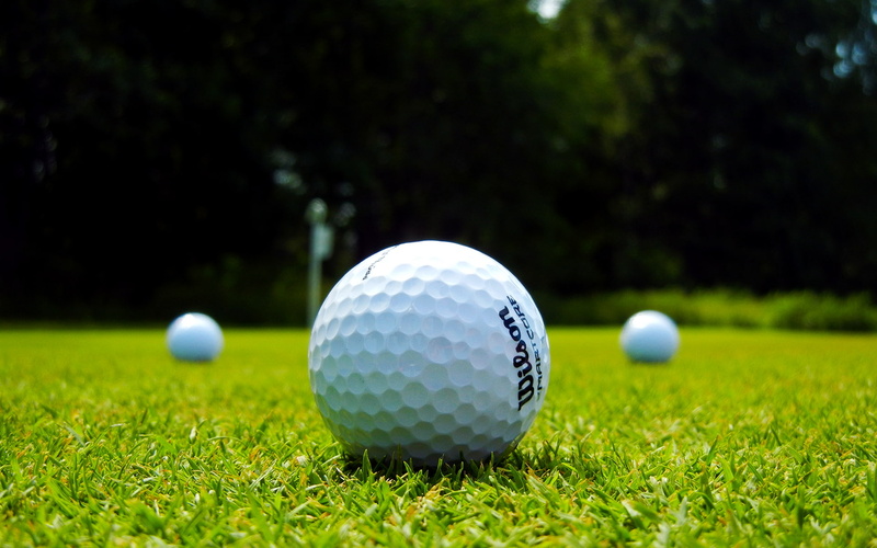 plant, green - golf course, sphere, outdoors, nature, no people, competition, golf, ball, 1080P, golf  for mac desktop, lawn, leisure activity, green color