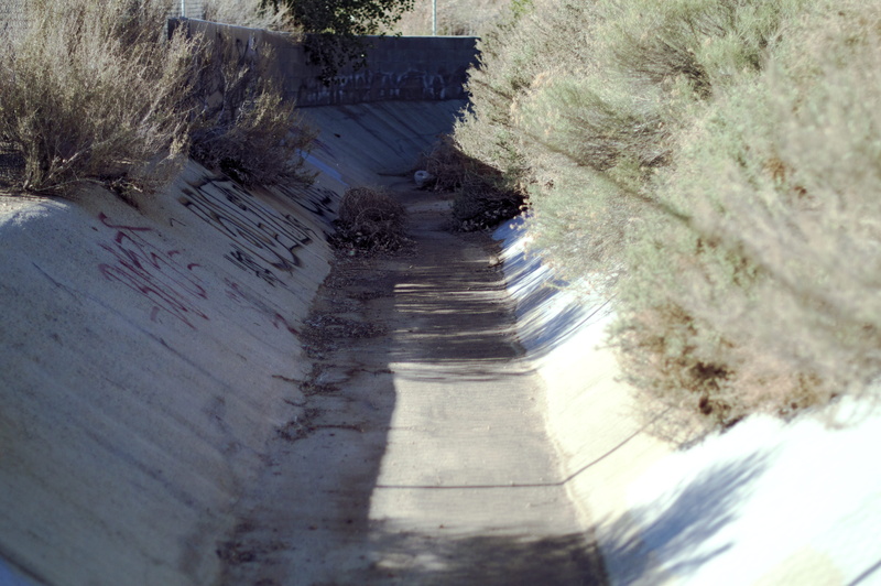 drain, plant, tag, wall, concrete, water, culvert, tags, cement, dirt, road, high angle view, sunlight, footpath, outdoors, flood, tumbleweed, the way forward