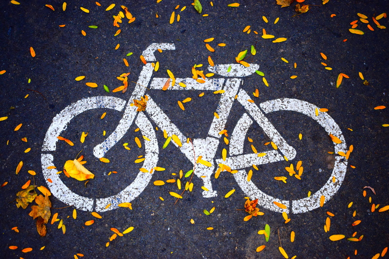 dirty, symbol, day, directly above, high angle view, transportation, communication, leaf, 5K, bike, full frame, asphalt, city, no people, colors, leaves