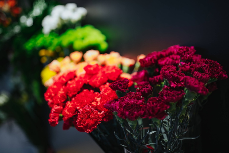 flower arrangement, flowering plant, inflorescence, focus on foreground, colourful, roses, flower, vulnerability, close-up, bouquet, red, flower head, lantana