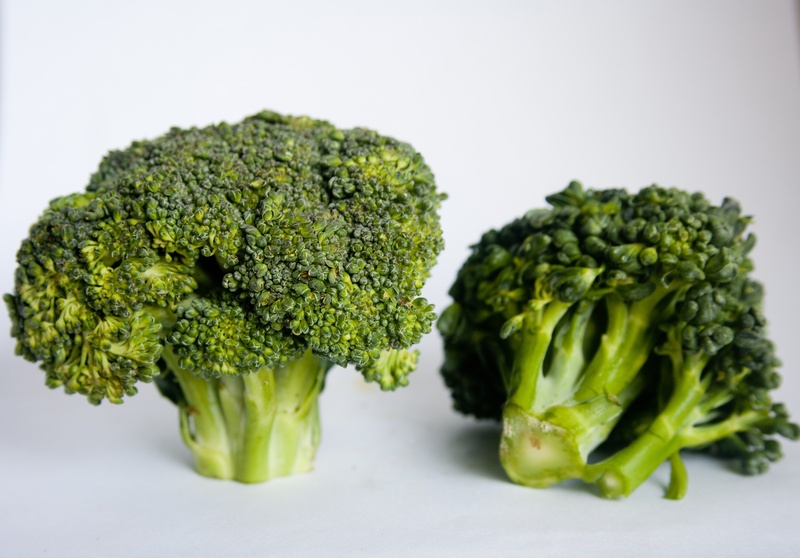 raw food, close-up, healthy, two, wellbeing, food, plants, green, cut out, white background, 2K, food and drink, studio shot, vegetabes, broccolis, indoors