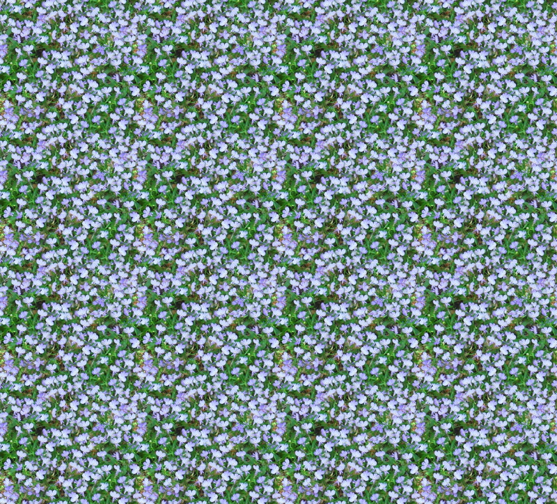 field, painting, flowers, abstract, white, backgrounds, beauty in nature, nature, purple, floret, freshness, light blue, seamless, plant, chain, flower