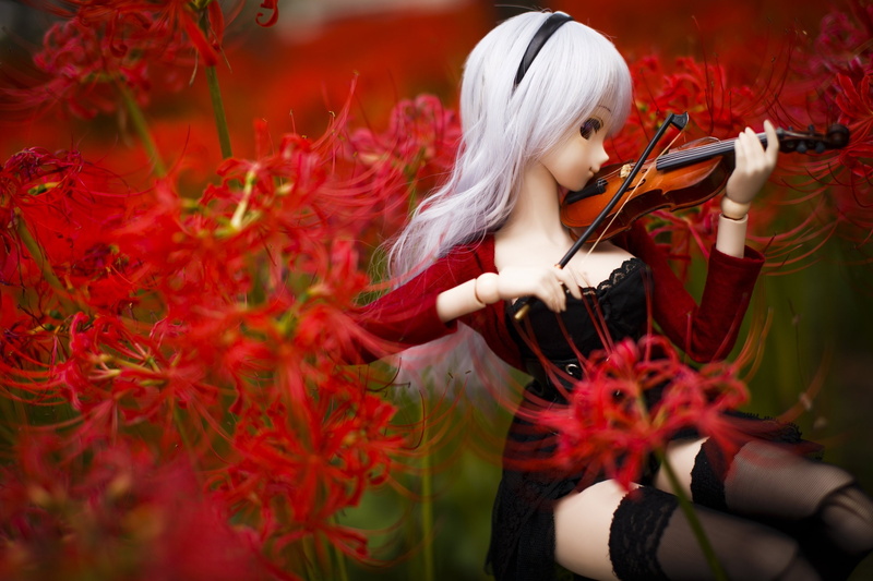 dollfie, cute, toy, sweet, doll, lovely, beautiful, 2K, beauty