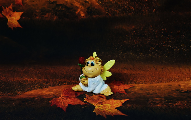 close-up, outdoors, male likeness, single object, little angel, creativity, nature, guardian angel, rose, field, love, plant part, toy, art and craft, funny