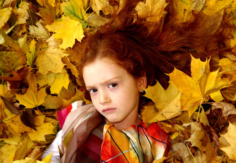 looking at camera, autumn, maple leaf, adorable, yellow, leaves, change, beauty, little, girls, plant part, nature, casual clothing, lying down, headshot