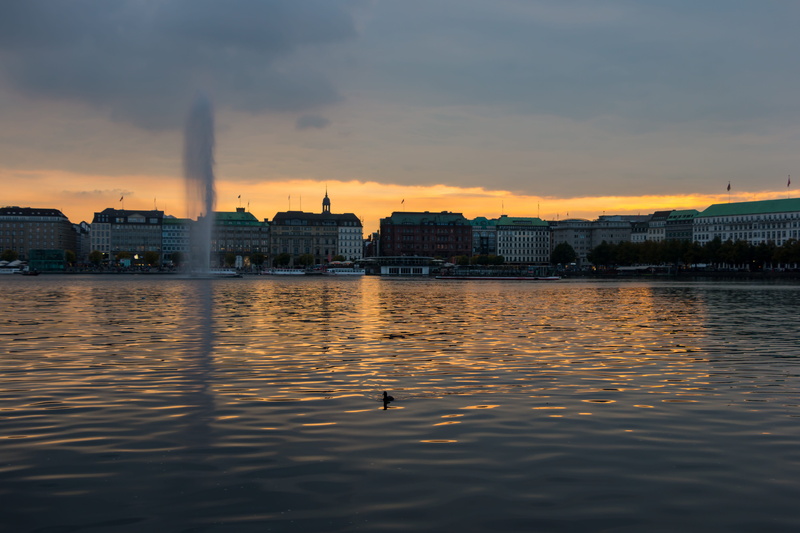 jungfernstieg, view, vertebrate, outdoors, animal wildlife, afterglow, hamburg, architecture, animal, nature, paddle, alster, no people, mirroring, summer