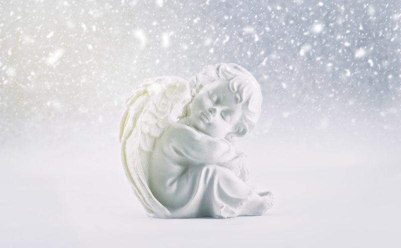 Sleeping, Angel, 5K, White, snow, innocence, no people, Snowing, nature, Winter, celebration, studio shot, love, indoors, flower, softness, beauty in nature
