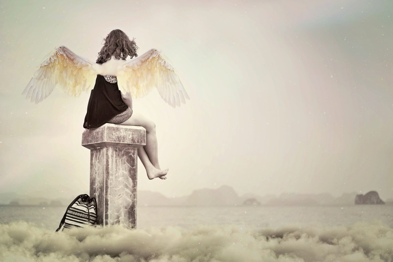 hope, trust, nature, pearly, copy space, animal wing, aura, sky, sit, fog, security, harmony, bird, one person, vertebrate, human arm, animals in the wild