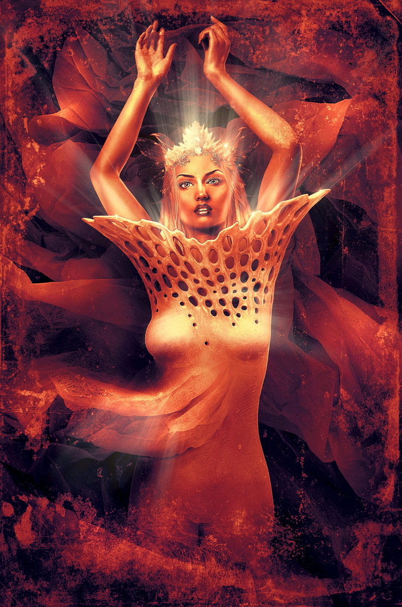 cover, fashion, dream world, magic, metamorphosis, beautiful woman, poor, mysterious, beauty, figure, one person, composing, background, light, beautiful people