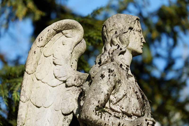 close-up, 4K, guardian angel, spirituality, craft, sky messenger, art, statue, art and craft, day, melancholic, creativity, sculpture, tree, no people