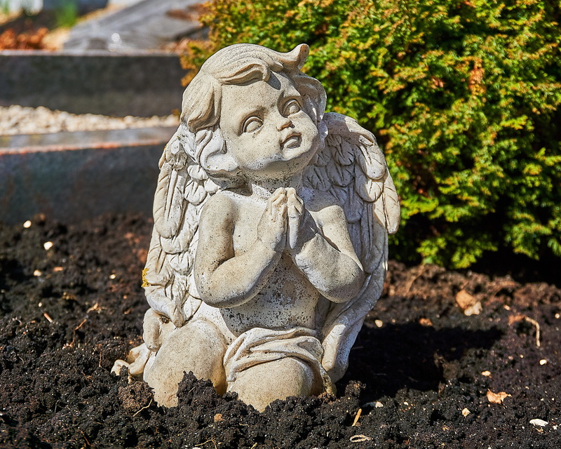 angel shape, protect, rest, art and craft, melancholic, human representation, decoration, grave, nature, angel, harmony, stone, day, craft, history, heavenly