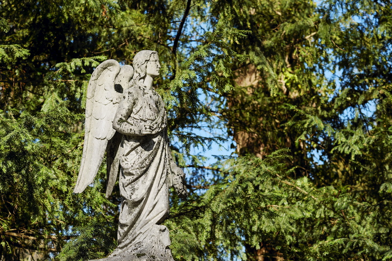 stone figure, human representation, 4K, stone, solid, representation, park, art and craft, guardian angel, tree, low angle view, stone statue, rest, heavenly