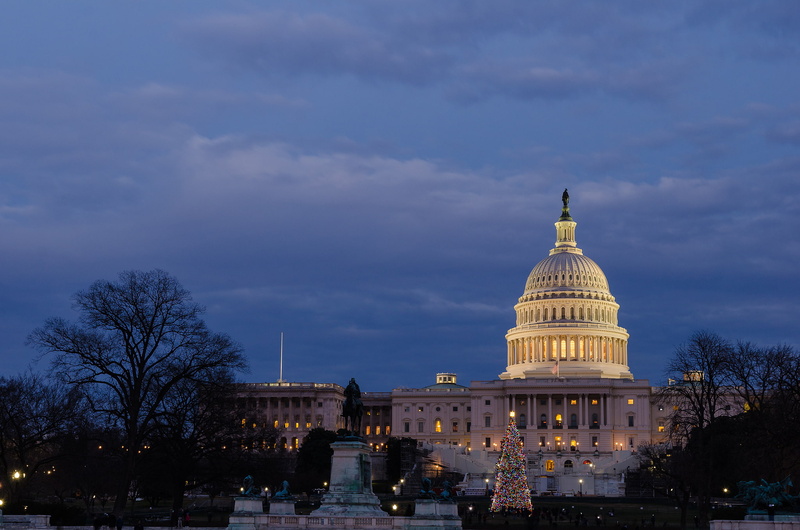 United States Capitol, tree, 1080P, blue, the sky, USA, clouds, Capitol, trees, Park, Washington, the evening, evening, meeting place, light, lighting