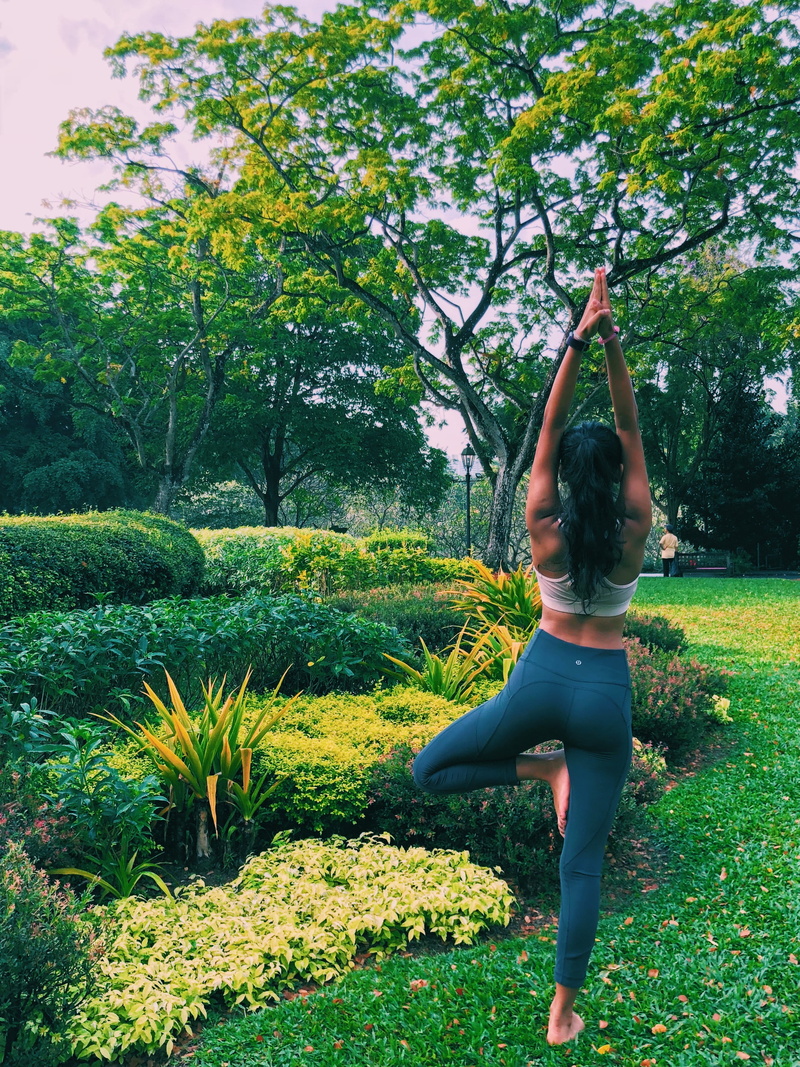 person, young women, 4K, garden, human arm, stretch, plant, female, tranquility, sunlight, grass, fitness, arbour, relaxation exercise, arms raised, outdoors