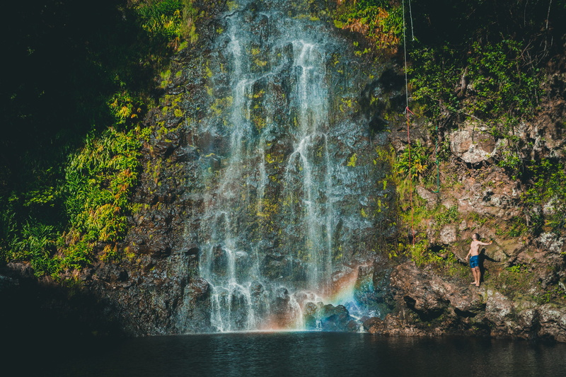 forest, leisure activity, grass, flowing, male, cliff, guy, moss, rope swing, tree, outdoors, flowing water, motion, 5K, scenics - nature, bathing suit