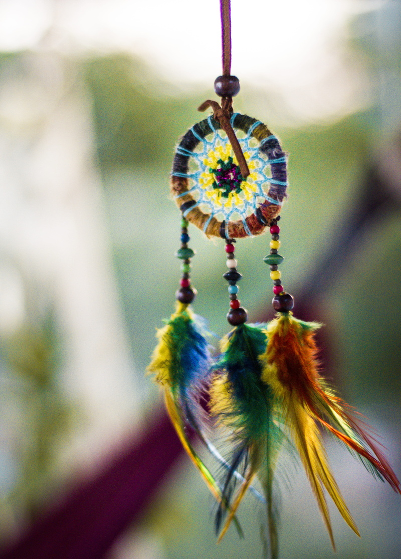 4K, creativity, decoration, branch, no people, nature, animal wildlife, day, jewelry, multi colored, outdoors, personal accessory, close-up, religion