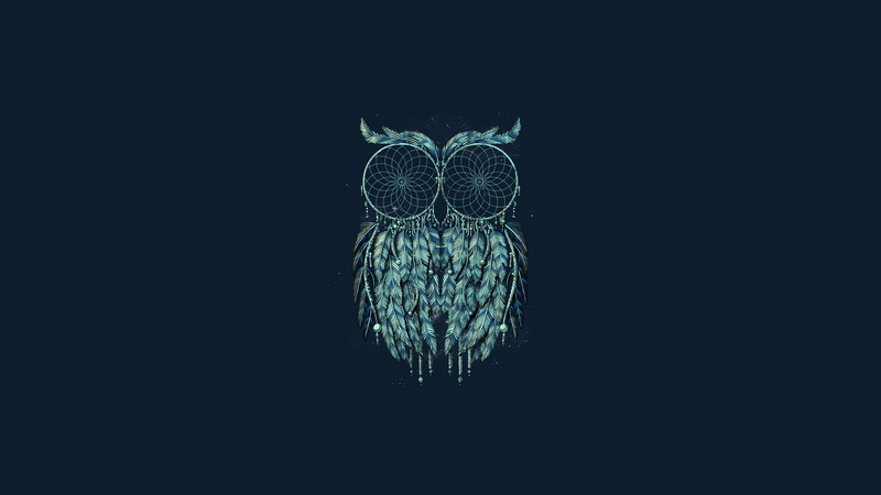 Dreamcatcher, Artistic, Animal, 1080P
