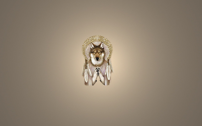 Dreamcatcher, light background, feathers, wolf, minimalism, 1080P