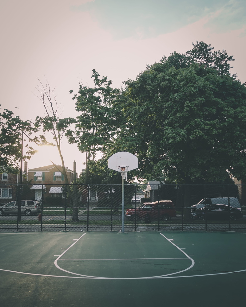 plant, sport, architecture, nature, basketball, built structure, basketball ring, 4K, absence, basketball court, tree, green color, growth, basketball hoop