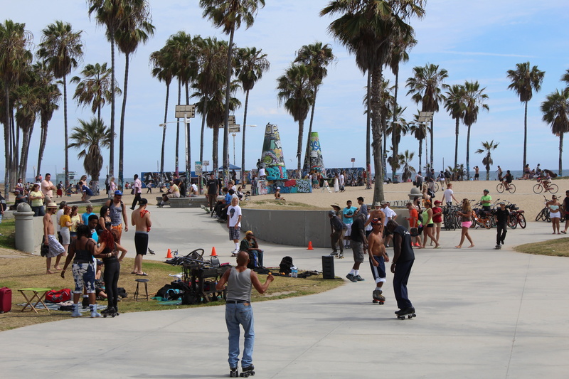uses, tree, 5K, lifestyles, city, california, architecture, real people, crowd, large group of people, venice, outdoors, day, group of people, plant, adult