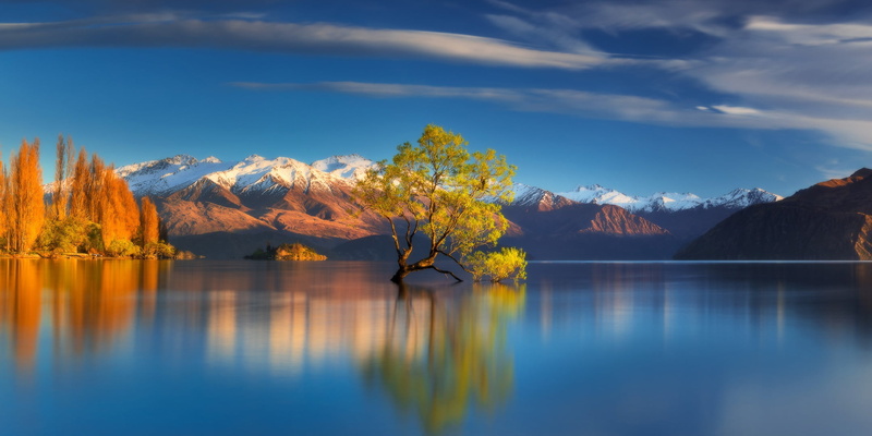 1080P, autumn, mountains, Lake Wanaka, New Zealand, tree, Southern Alps, lake
