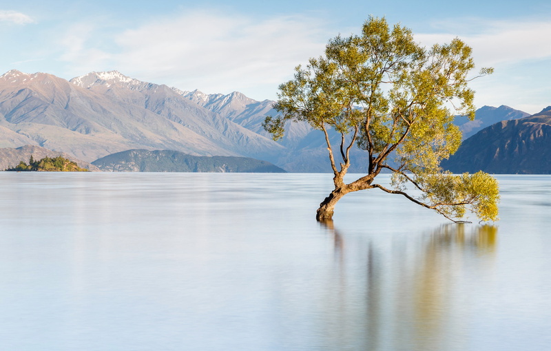 New Zealand, 1080P, mountains, landscape, Wanaka, lake Wanaka, tree