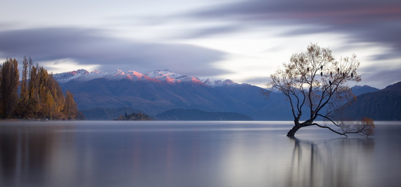 environment, winter, tree, beauty in nature, tranquility, Lake Wanaka, mountain peak, 4K, snow, scenics - nature, water surface, mountain, sky, plant