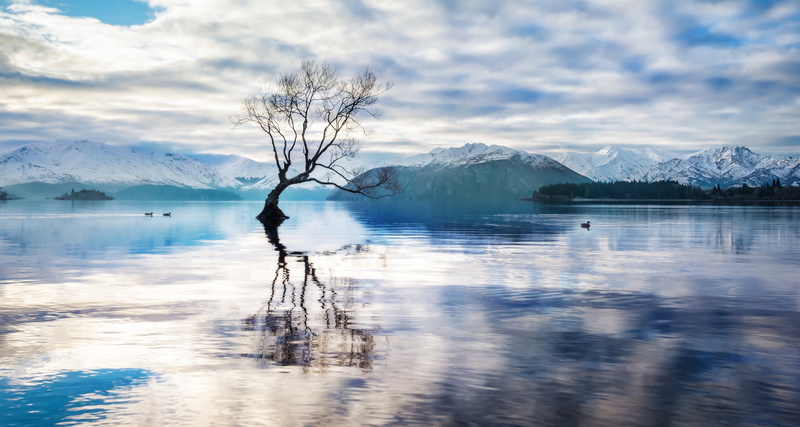 Snow, outdoors, 4K, Wanaka, nature, water, scenics, middle, New Zealand, com, reflection, landscape, river, bare, mountain, lake, Ducks, Tree