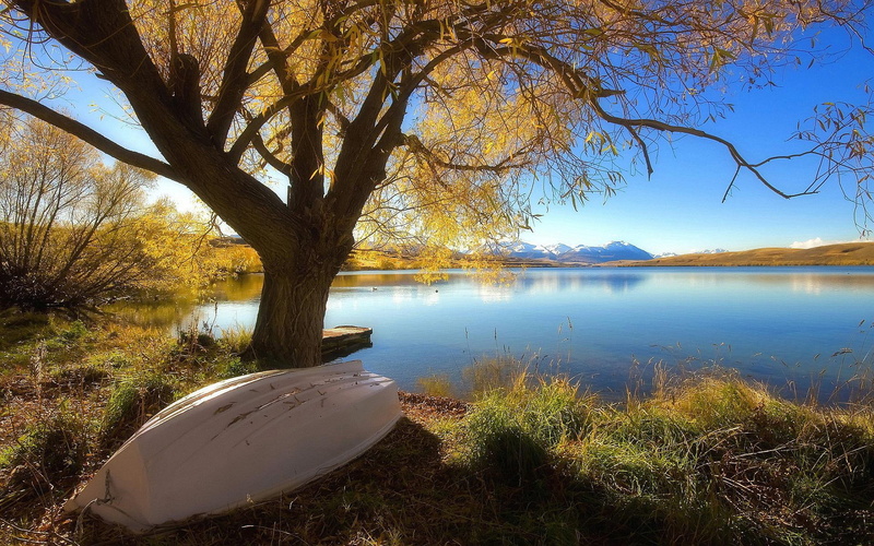 lake, nature, new, alexandrina, zealand, 1080P