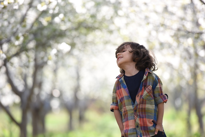 forest, shoot, boy, focus on foreground, green, looking, offspring, posing, 5K, daytime, contemplation, standing, tree, casual clothing, pre-adolescent child