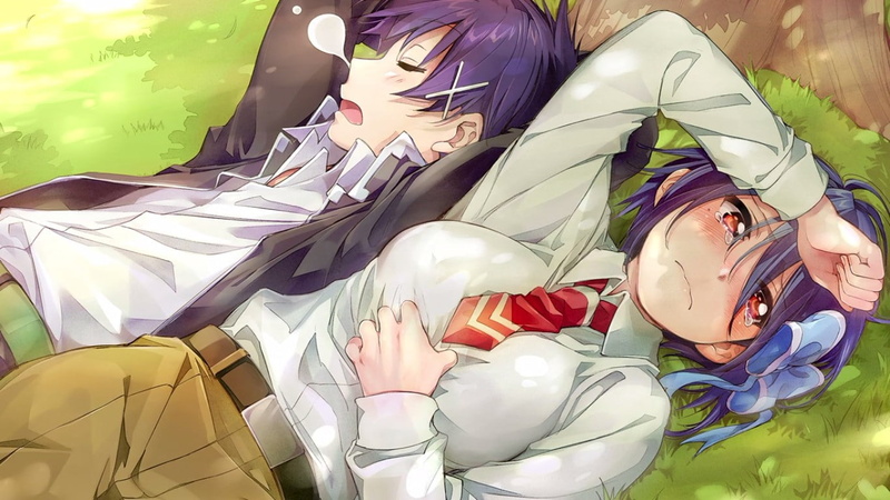 Tsugumi Seishirou, Nisekoi, 720P, Ichijou Raku