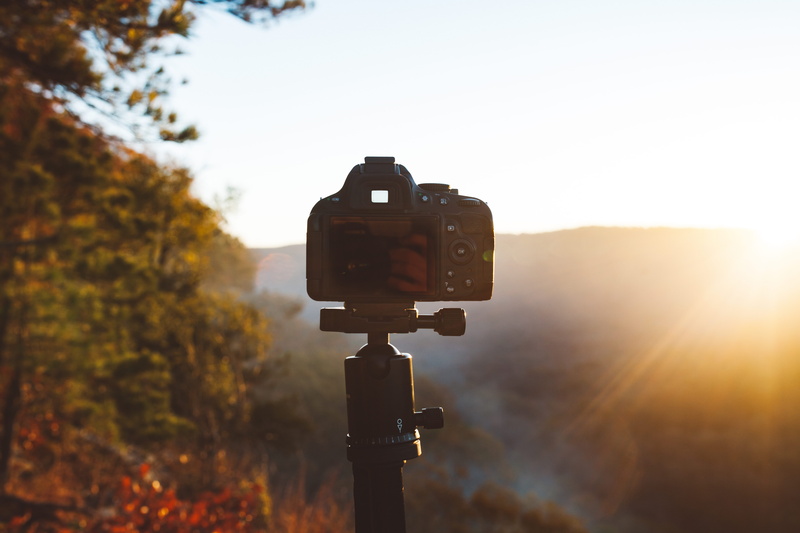 nature, 5K, tripod, sunset, beauty in nature, day, photographic equipment, plant, Shot, focus, slr camera, lens - Optical Instrument, outdoors, photography themes