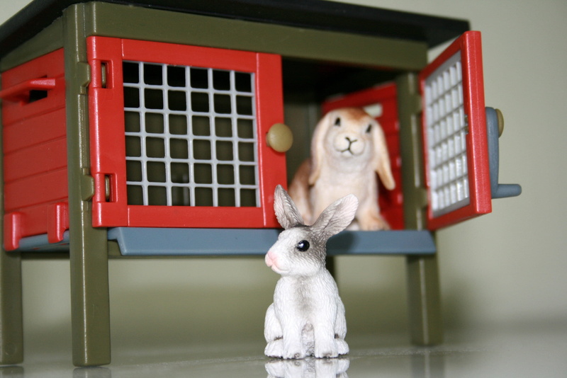 pets, representation, creativity, one animal, livestock, domestic animals, indoors, stall, fun, small, domestic, mammal, rabbit hutch, red, 2K, hare, easter bunny
