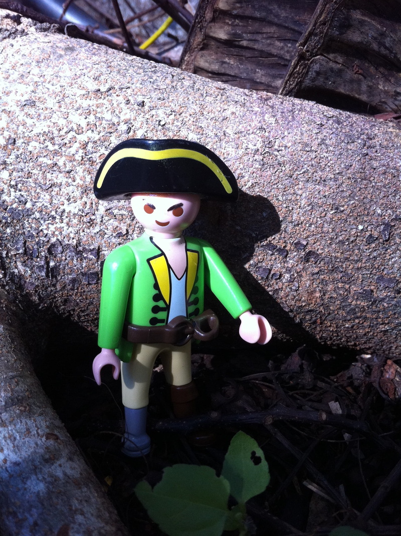 pirate, child, Pirate, innocence, playing, portrait, children, childhood, playmobil, green color, representation, 2K, clothing, real people, toys, plastic