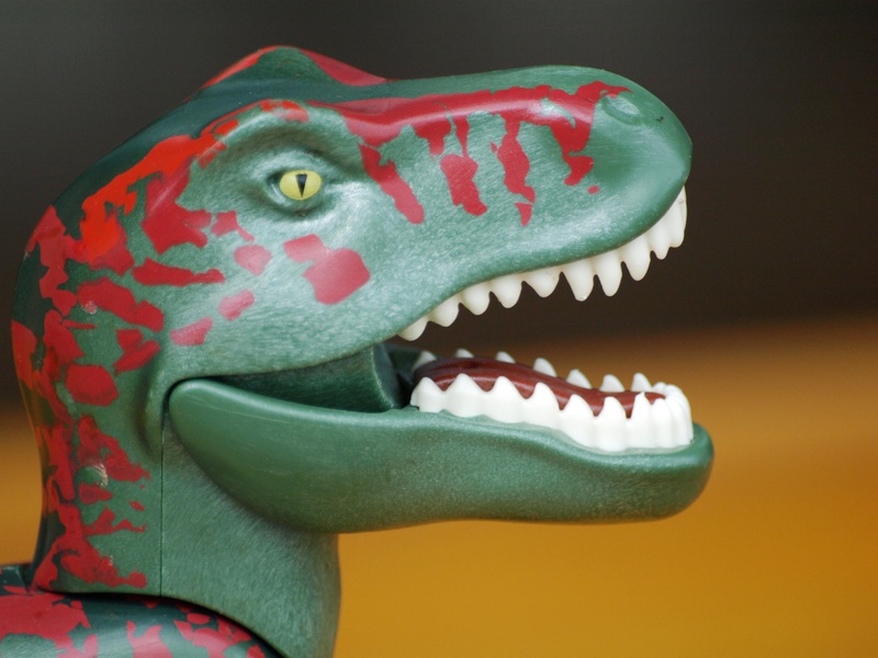 animal representation, close-up, representation, studio shot, dinosaur, creativity, focus on foreground, replica, dino, no people, animal teeth, art and craft