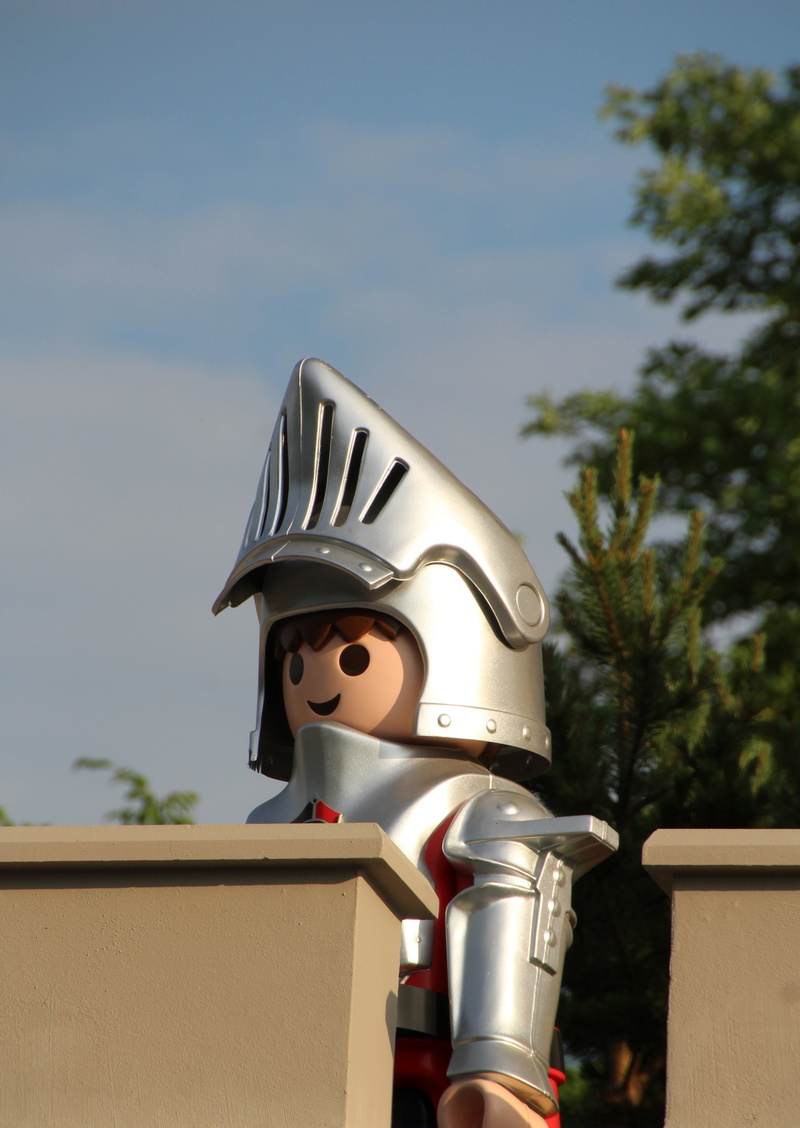 statue, male likeness, representation, knight, low angle view, no people, sculpture, plant, knights castle, sunlight, childhood fantasy, sky, outdoors