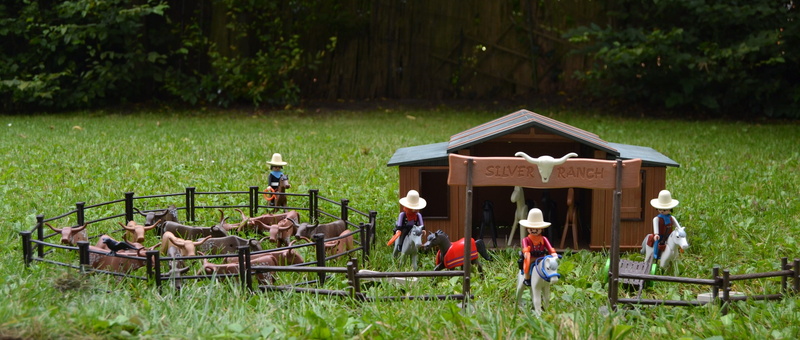 toy figures, longhorn, cowboys, rural scene, nature, plant, Western, field, America, outdoors, toys, green color, standing, growth, silver ranch, adult