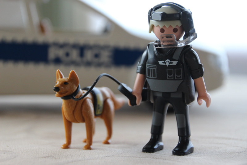 domestic, dog, offspring, helmet, mammal, males, indoors, childhood, people, playmobil, men, pets, 5K, boys, toys, small, domestic animals, depth of field